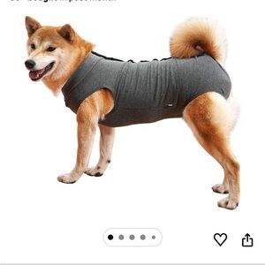 Gray Dog Post Surgery Suit